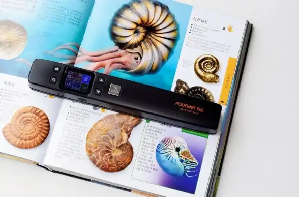 数据库管理 数据录入 多选资料高效存储方法全解析，轻松实现多选数据高效录入数据库