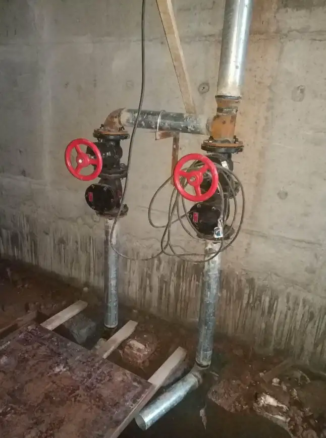 外贸建站,服务器选择-棉花云江苏镇江CN2专线适合外贸建站吗