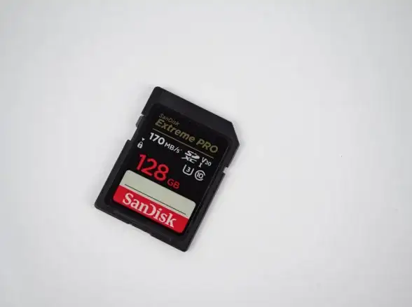 数据恢复🔍高效掌握如何使用sd卡数据恢复软件快速找回丢失文件