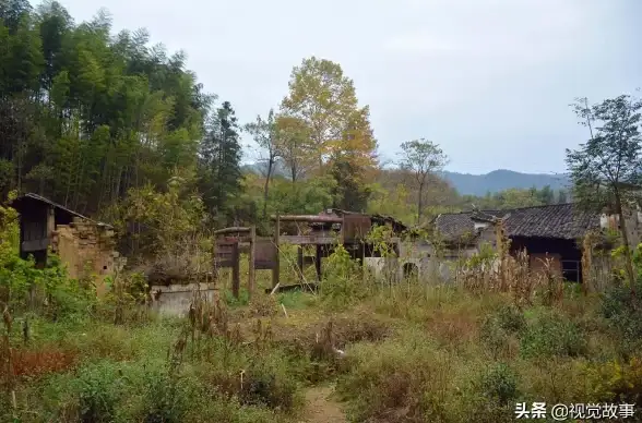 山村老屋第二关攻略详解与隐藏要素揭秘