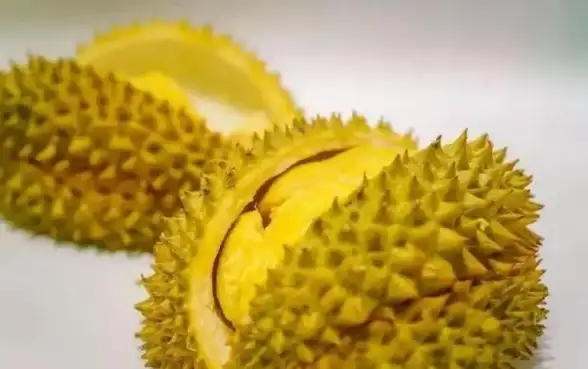 数据库管理|DZ论坛数据库操作指南：快速掌握dz如何执行数据库语句，轻松实现dz数据库语句执行