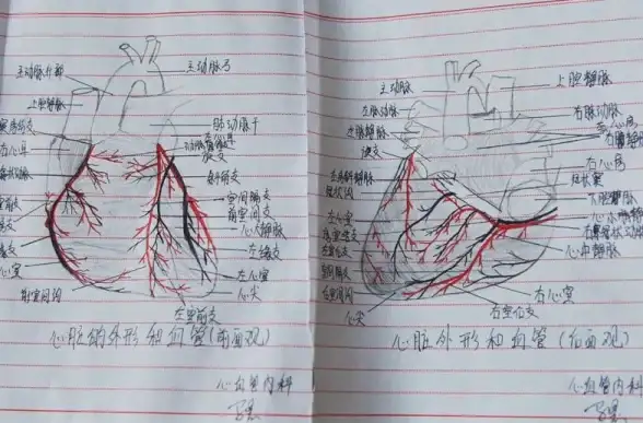 健康｜便捷｜指南 秒懂大夫在线历史就诊记录查询全流程！