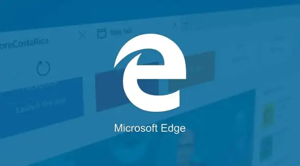 浏览器入口🟢IE10下载🔵Windows系统专用IE10浏览器最新版本官方下载入口