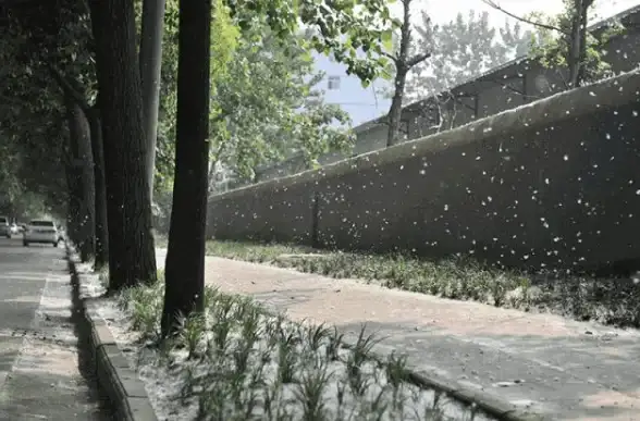 温州机房,大带宽-选择大带宽温州机房，棉花云提升数据效率