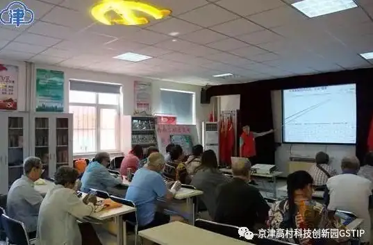 浏览器 网页稳定守护：解决网页自动关闭难题，让浏览器稳定运行不再意外退出