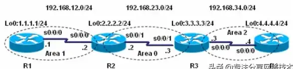 OSPF协议 路由信息 掌握OSPF：如何查看数据库中的路由，快速查询ospf数据库路由