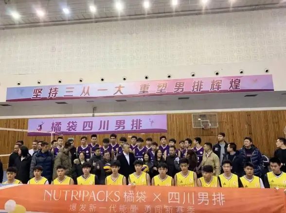 🔥排球少年🔥战术精英 队伍配置 全面解析：新的征程前期组合秘笈揭秘