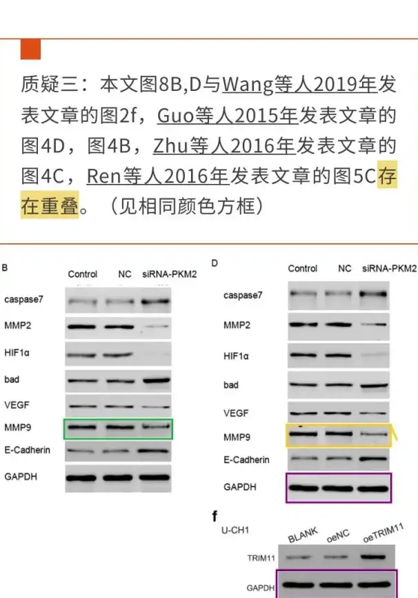 数据库去重|数据查找 轻松实现数据库查重：同一表内数据高效去重方法，如何快速定位表中重复记录