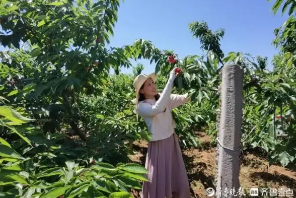 素材抓取利器｜新手必备摄影设计图片获取秘籍！网页图片提取实用指南【合法使用提醒】