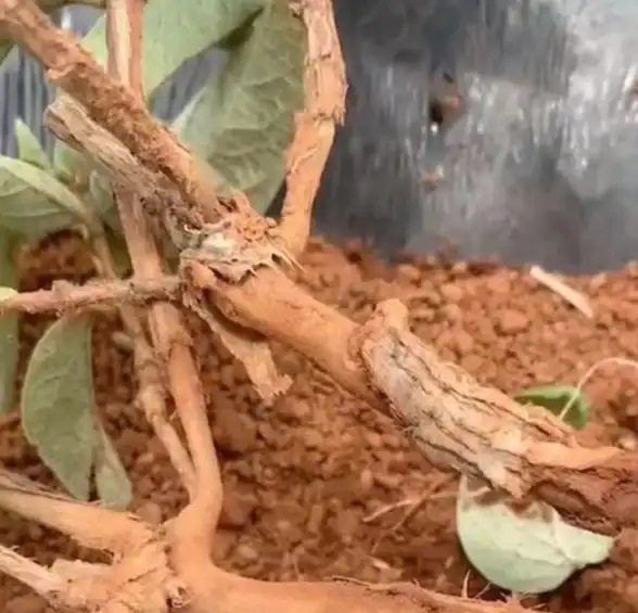 🔥趣味指南🔥绝佳方案：按风格挑选完美异环角色技巧揭秘