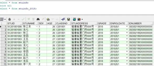 oracle去重|数据库过滤 重复数据处理方法，实现oracle数据库去重技巧，oracle如何过滤重复数据库