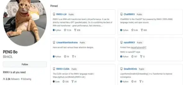 网络设置💡Win11本地连接IP配置方法详细步骤