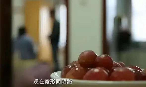 攻略📌通关技巧 夏日游戏靠近一点点全解析推荐