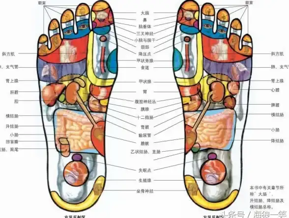 数据库维护|日志管理 MSSQL收缩日志语句一步到位，简单实现mssql日志收缩