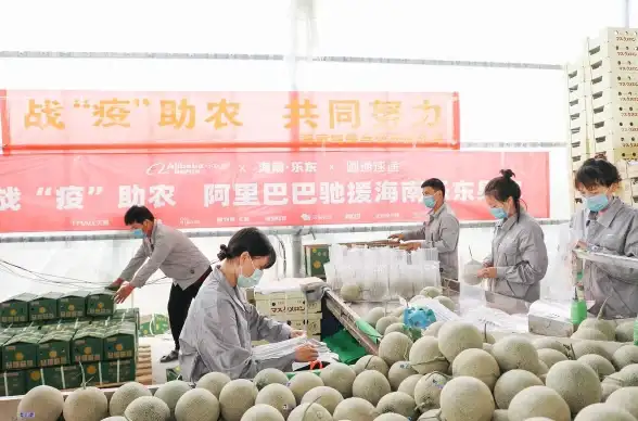 企业互联,高速专线-泉州服务器支持跨省高速互联企业专线