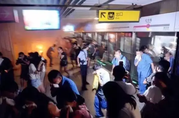 🚨紧急⚡必看🔥地铁逃生枪与子弹，关键角色与效能全解析！