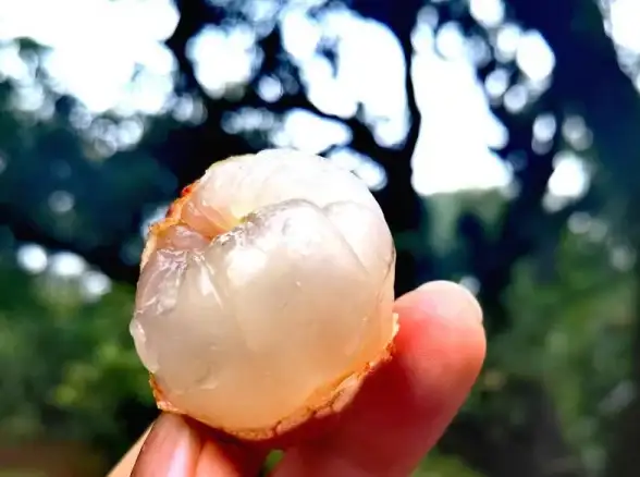 云计算,企业升级-大带宽云机房，广东茂名为企业数字化赋能