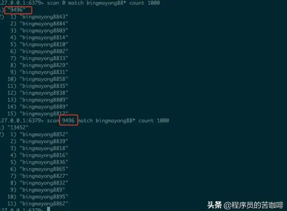 Redis应用 数据统计 Redis实现高效模糊匹配与数据统计方法