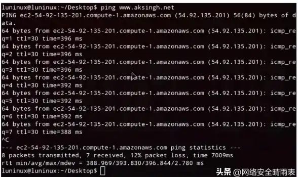 运维技巧 秒懂远程 Linux系统电脑如何高效连接服务器！操作指南】