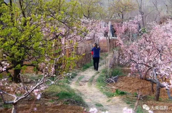 攻略丨技巧丨必看 无限暖暖》核心玩法深度解析+顶级跳跃技巧全揭秘！