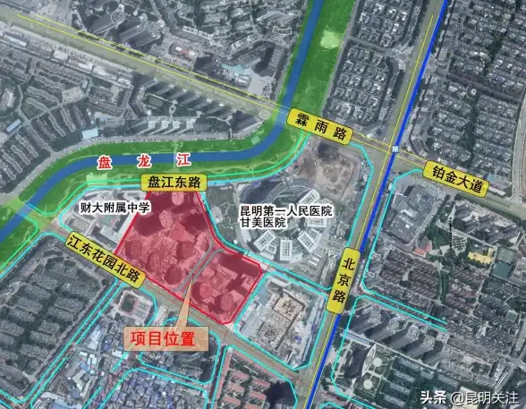 🔥热门游戏🔥医院模拟🔥医院经营 2025最新版游戏下载合集，畅享顶级医院管理体验！