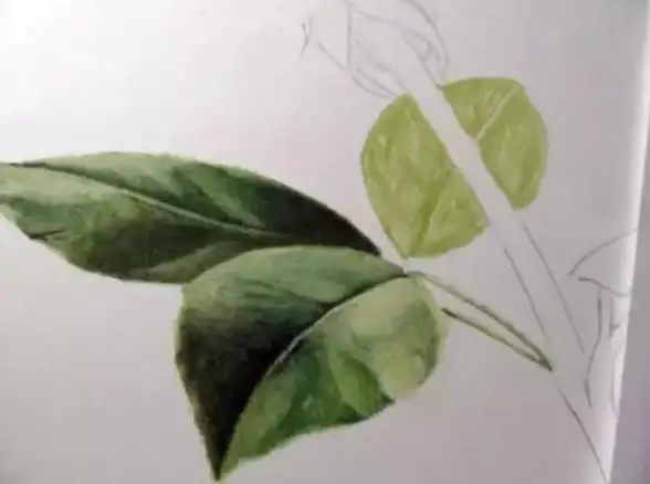 绘画🎨实用技巧🎯暗区突围六大高手绘画秘诀全解析