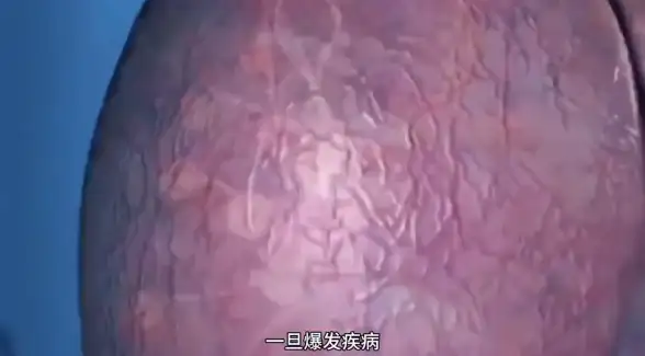 网络安全,数据防护-河北棉花云石家庄机房网络安全策略
