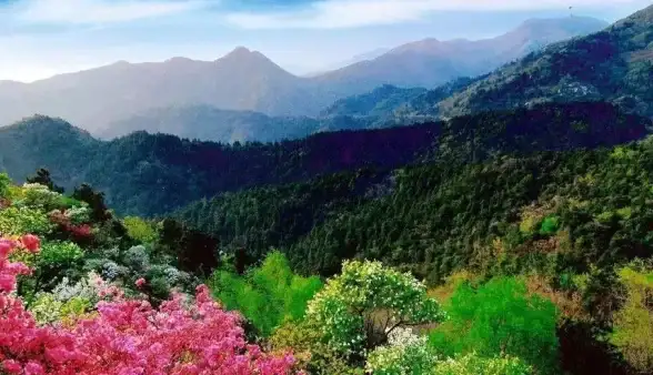 探险热⚡游戏攻略⚡辐射4木兰花酒吧黄金地点深度解析