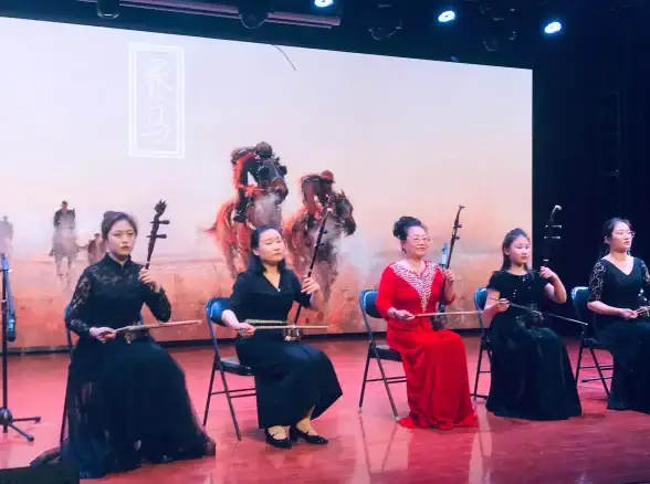 音响推荐🎵博士音响：高保真音质，开启你的音乐享受之旅