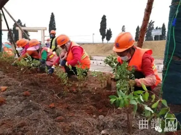 网络测速,运营商对比-电信联通移动曲靖分节点网络速率测试