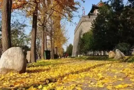 技巧教程📚隐藏苹果平板书签图标的高效方法揭秘