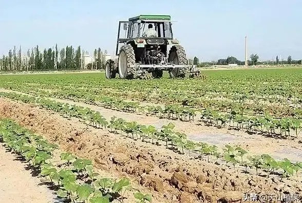 短视频加速,节点优势-棉花云河南郑州节点对短视频行业的优势