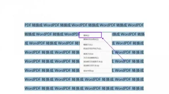 文档转换🚀高效掌握Word转PDF的实用方法与技巧