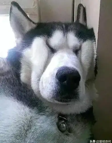 数据库上传 错误代码处理 数据库上传到网络时出现错误代码的应对方法与解决方案