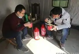 植物健康🌱植物保卫战：专业解读高效防护策略与科学管理秘诀