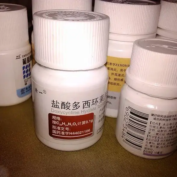 📢策略宝典◆高手必看◆实战秘笈 揭秘《异环》终极战斗攻略与敌人克制技巧