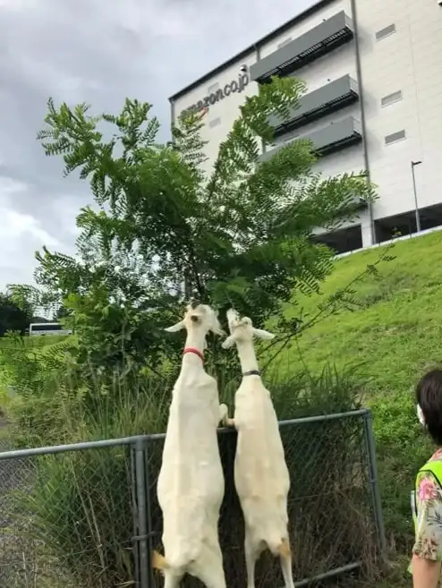 天气资讯🌦出行保障｜墨迹天气手机版下载新版本上线，精准预报助力安心出行