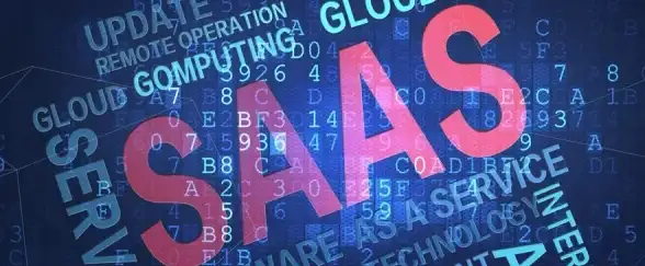 SaaS应用 关键难题 客户在SaaS采用过程中遇到的主要挑战