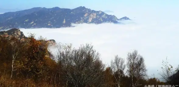 云安全,数据保护-石家庄机房云主机数据安全策略