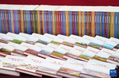 双数据库 S框架 中心词应用实践分享：S框架双数据库的高效应用与优化
