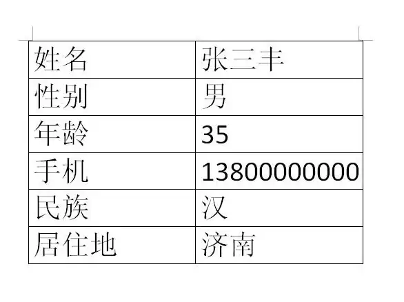 办公利器✨Word教程—微软Word2010高级版详细教程与高效办公应用