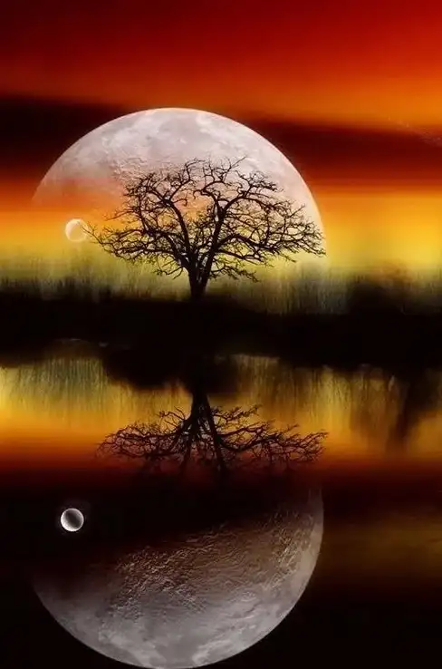壁纸美图✨星空精选欧美高清手机壁纸：感受璀璨星空与浪漫唯美