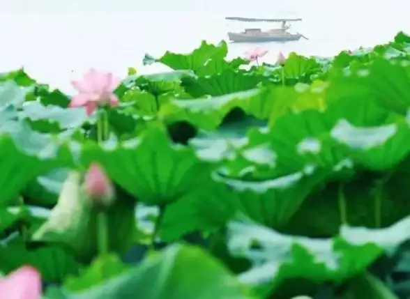 硬件精要💡计算机硬件核心知识详解：全面剖析组成结构与运行原理