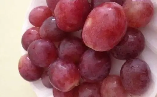 健康 美容 蓝莓表面白霜的神奇作用与科学揭秘