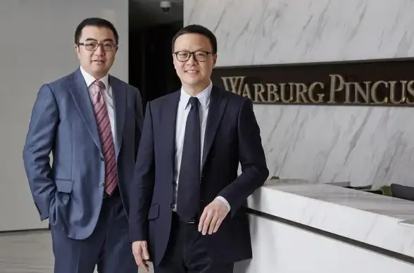 投资领域｜PE是什么？详析其多重定义与主要应用领域