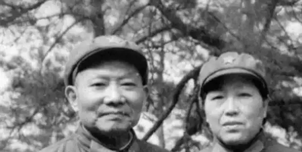 阵容🔥超强策略 鬼魅刺客藏匿 元素方尖必备搭配推荐