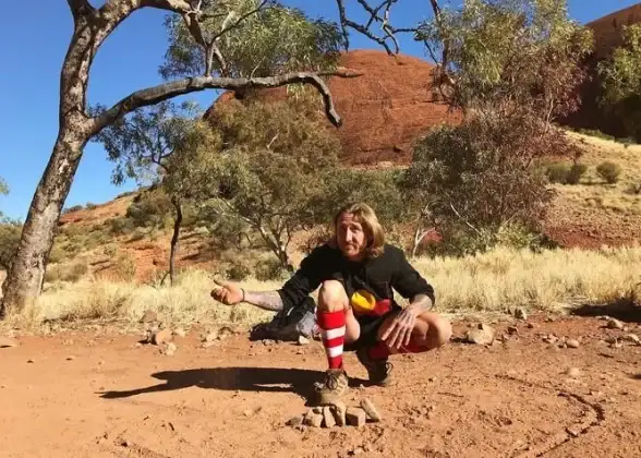 🔥超强阵容♦必备技巧♦快速上分 荒野国度》高效英雄组合推荐指南