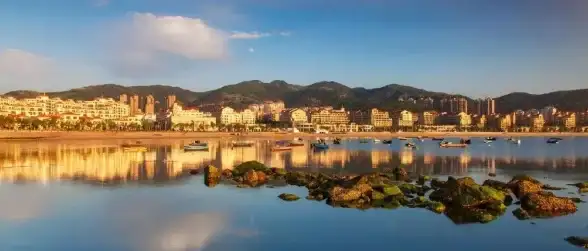 海外专线,低延迟-低延迟绮风云新加坡服务器，海外三网专线畅享极速体验