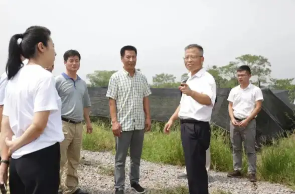 服务器租赁,多线路接入-国内高可用服务器租赁，金华多线路接入解析