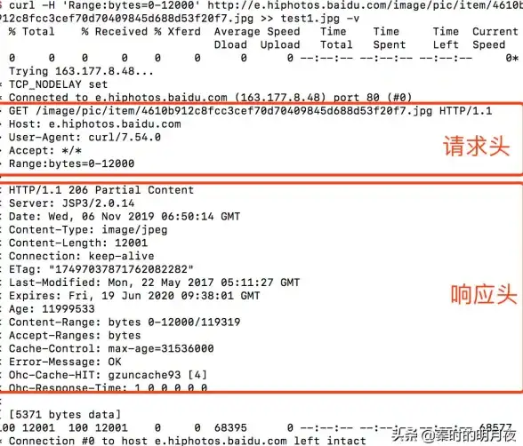 劲爆揭秘｜断点续传新玩法！电子书下载与实用技巧盘点】
